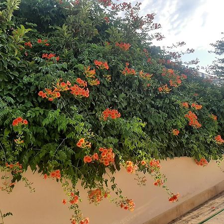 The Orange Groove Bed & Breakfast Bari Exterior photo