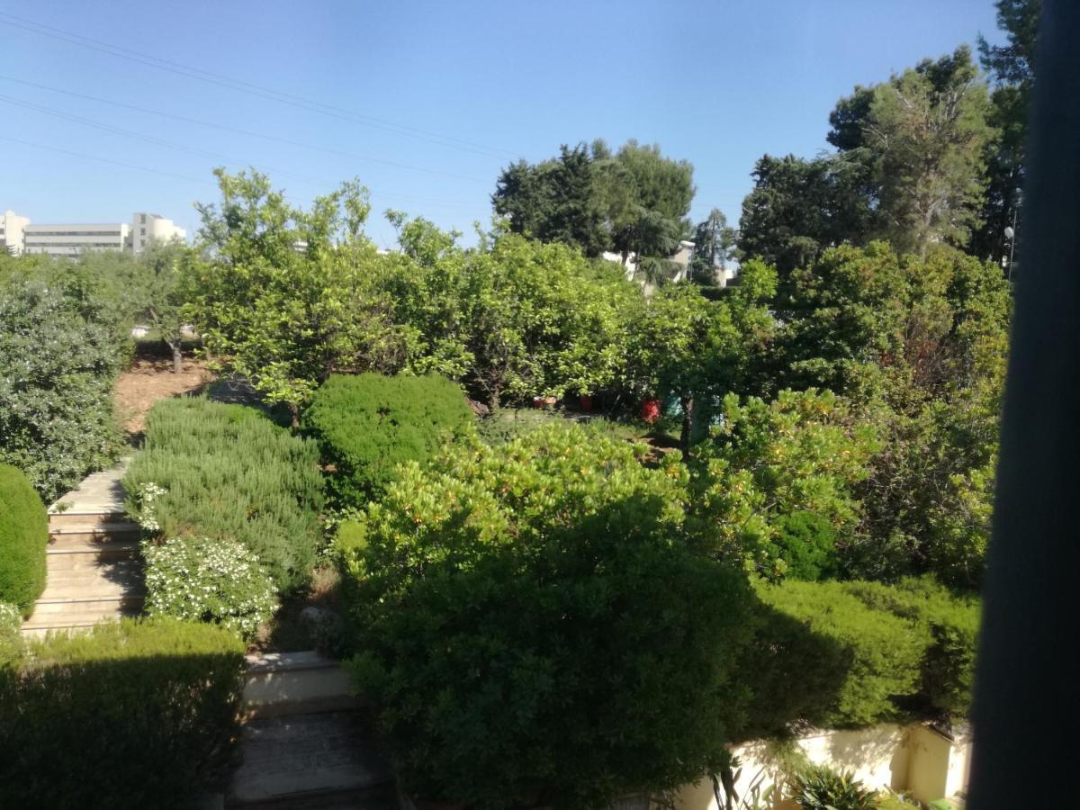 The Orange Groove Bed & Breakfast Bari Exterior photo