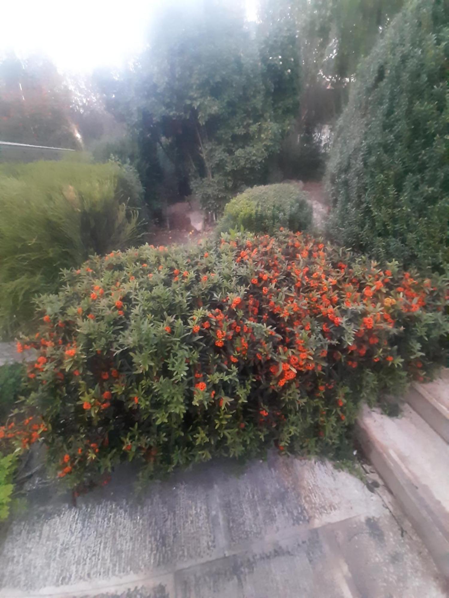 The Orange Groove Bed & Breakfast Bari Exterior photo
