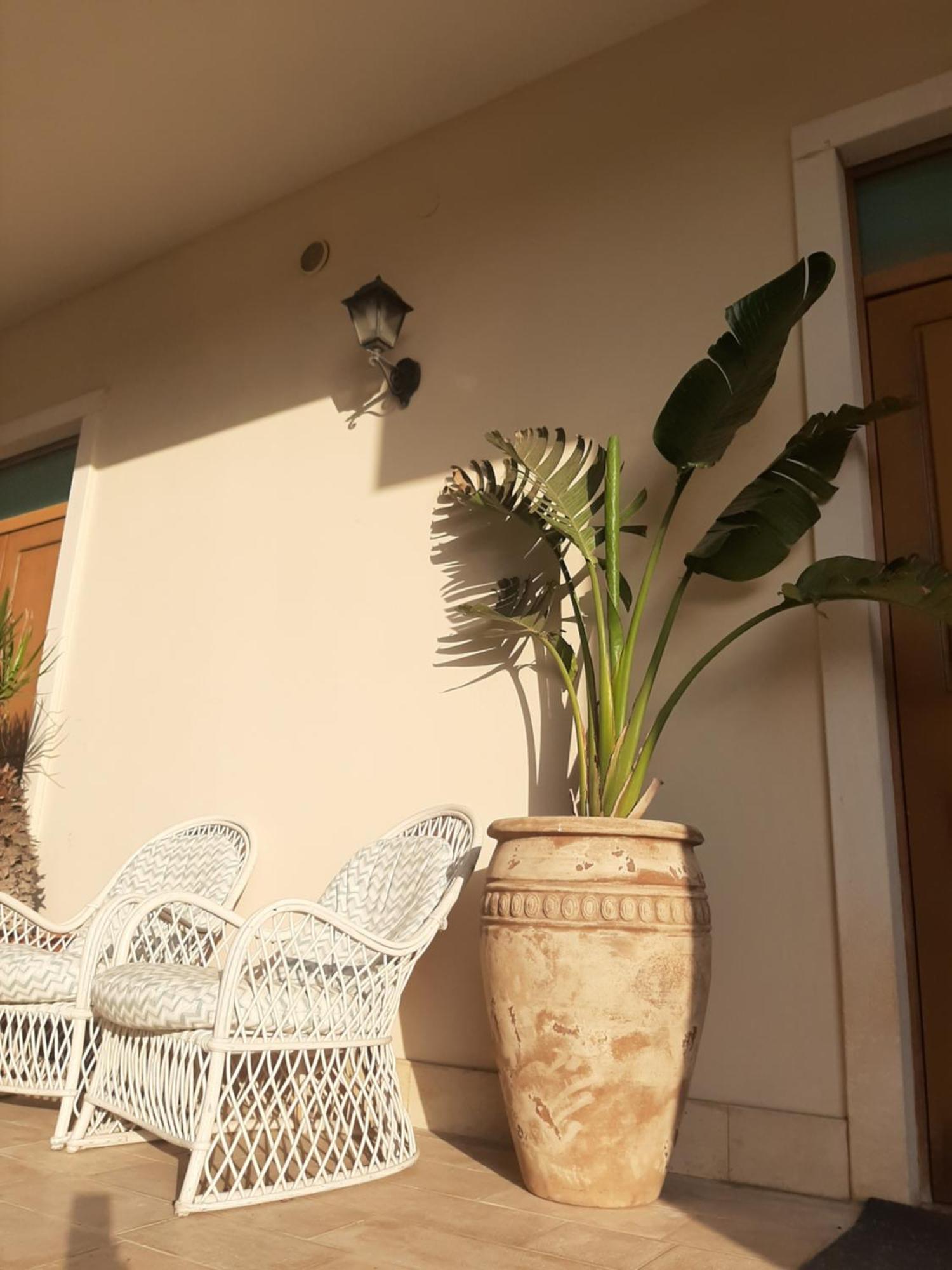 The Orange Groove Bed & Breakfast Bari Exterior photo